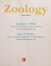 Rent Zoology