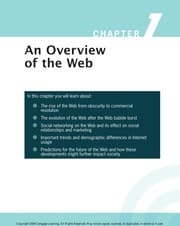 Rent Principles of Internet Marketing